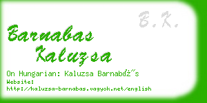 barnabas kaluzsa business card